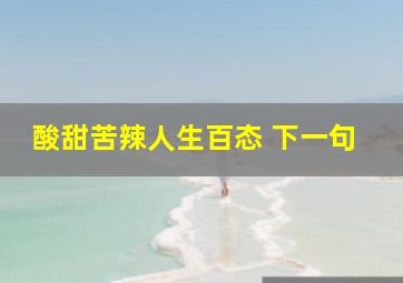 酸甜苦辣人生百态 下一句